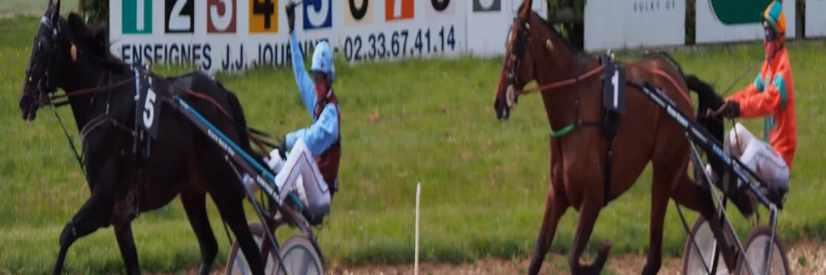 Image Installation abri de piscine Argentan