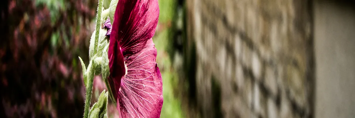 Image Installation abri de piscine Éragny