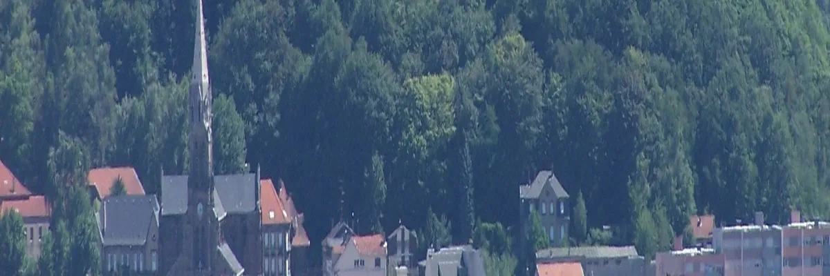 Image Installation abri de piscine Forbach