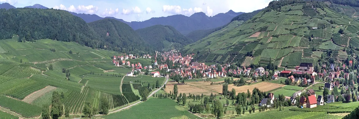 Image Installation abri de piscine Grand Est