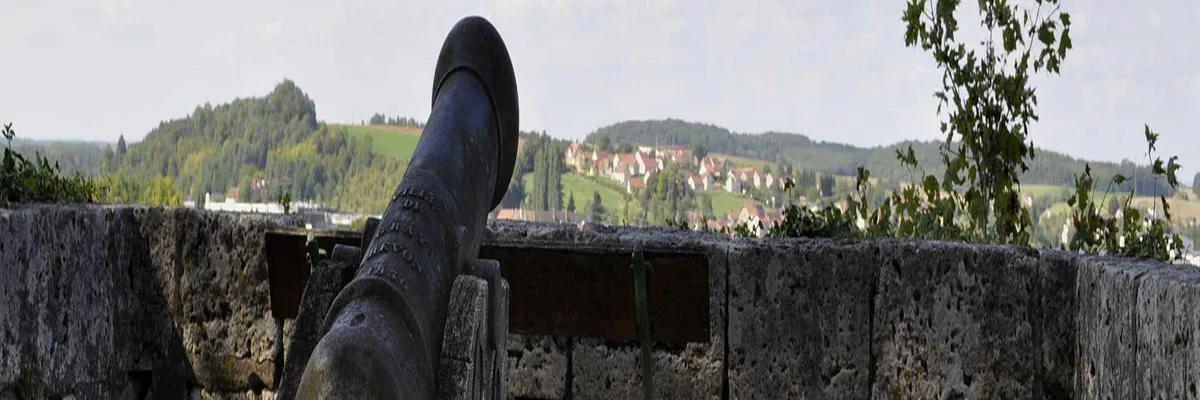 Image Installation abri de piscine Gray