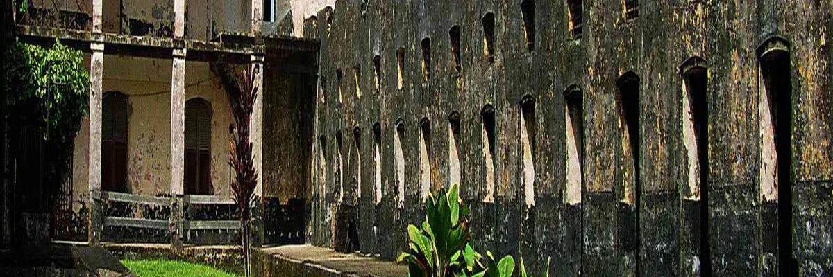 Image Installation abri de piscine Guyane