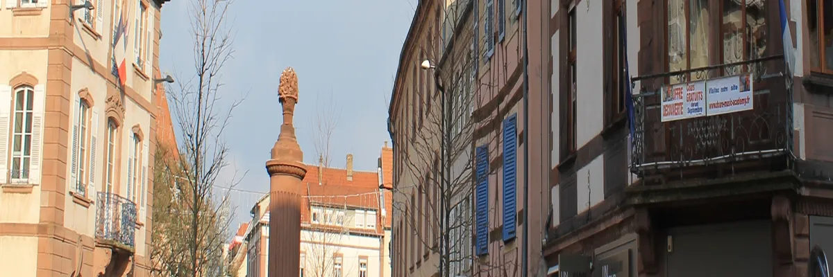 Image Installation abri de piscine Haguenau