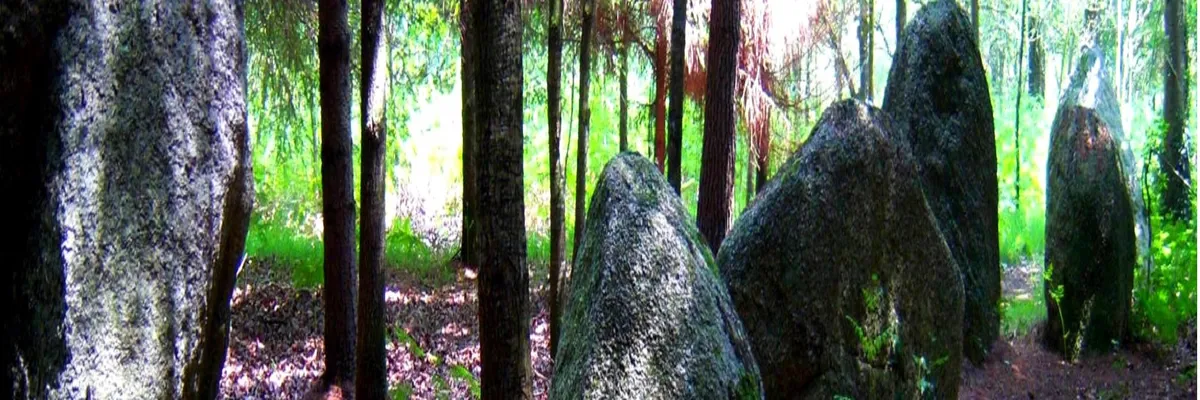 Image Installation abri de piscine Languidic