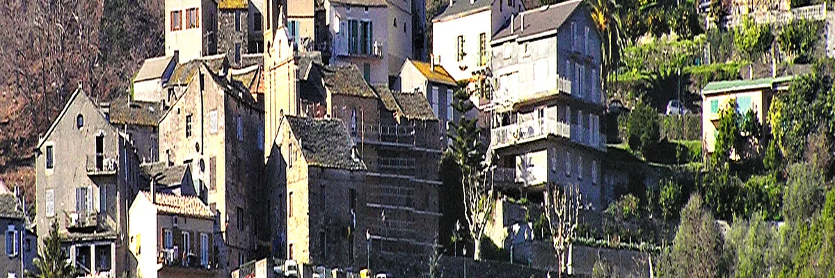 Image Installation abri de piscine Lucciana