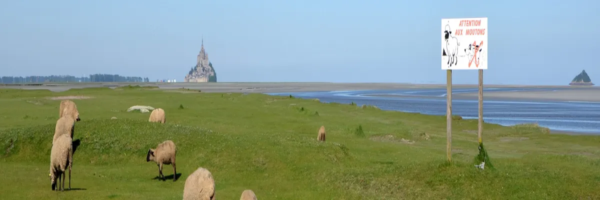 Image Installation abri de piscine Manche