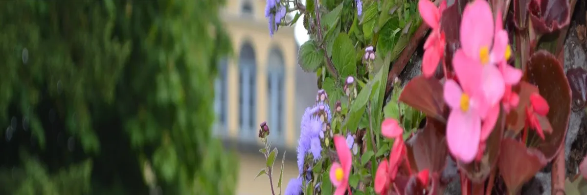Image Installation abri de piscine Saint-Étienne-au-Mont