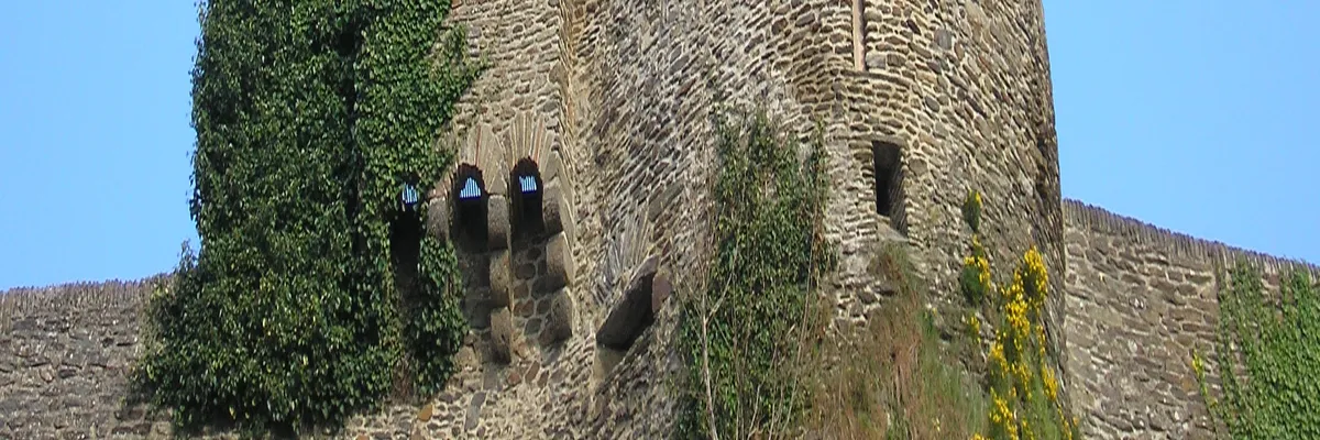 Image Installation abri de piscine Saint-Lô