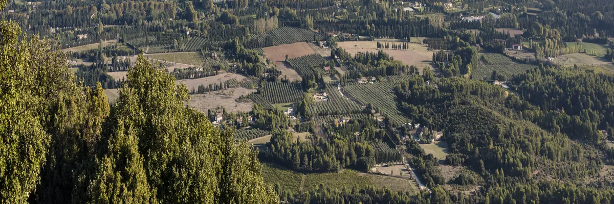 Image Installation abri de piscine Saint-Rémy-de-Provence