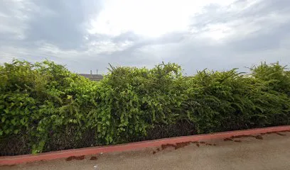 Image de Abri Loisirs