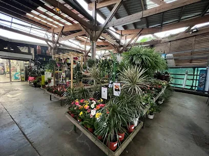 Image de Jardiland Baie-Mahault