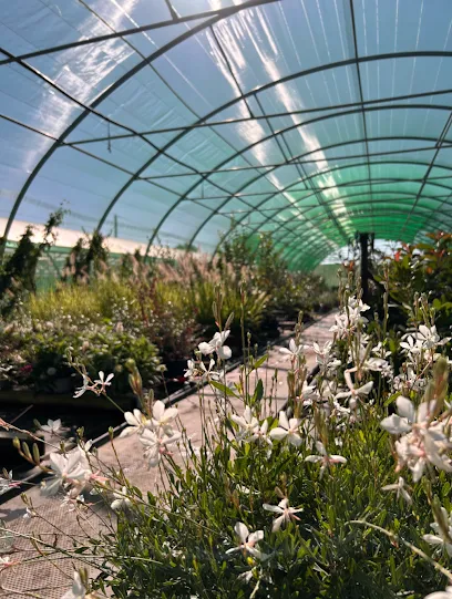 Image de La serre des Quintrands 04100 Manosque