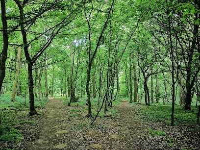 Image de Parcours sportif du bois de Courcelles