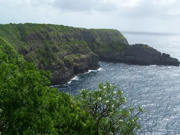 Abri Piscine Sur Mesure Installation abri de piscine Guadeloupe