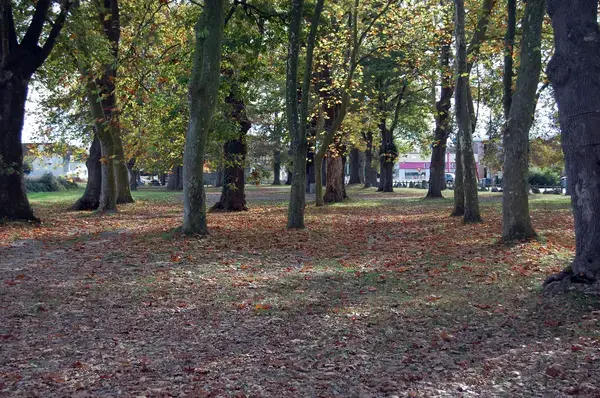 Abri Piscine Sur Mesure Installation abri de piscine Idron