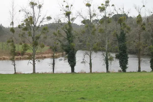 Abri Piscine Sur Mesure Installation abri de piscine Muzillac