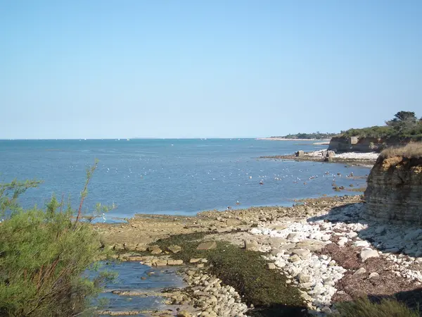 Abri Piscine Sur Mesure Installation abri de piscine Nouvelle-Aquitaine